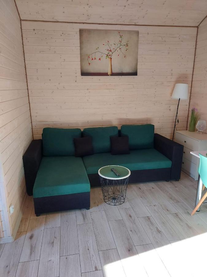 Holiday home Brzozki Kosewo *